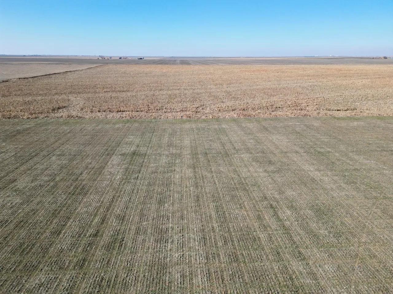 37316674-7