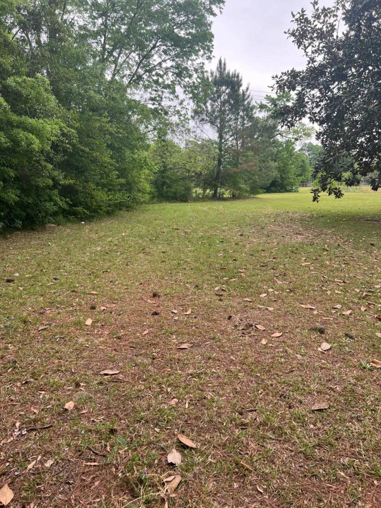 Amazing Lot to Build Your Home in Marion, SC!