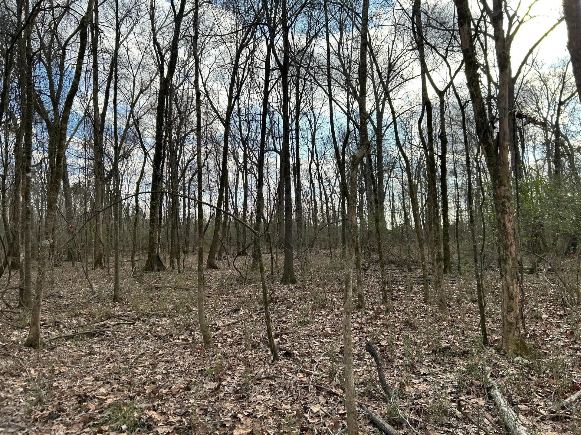 37326028-8