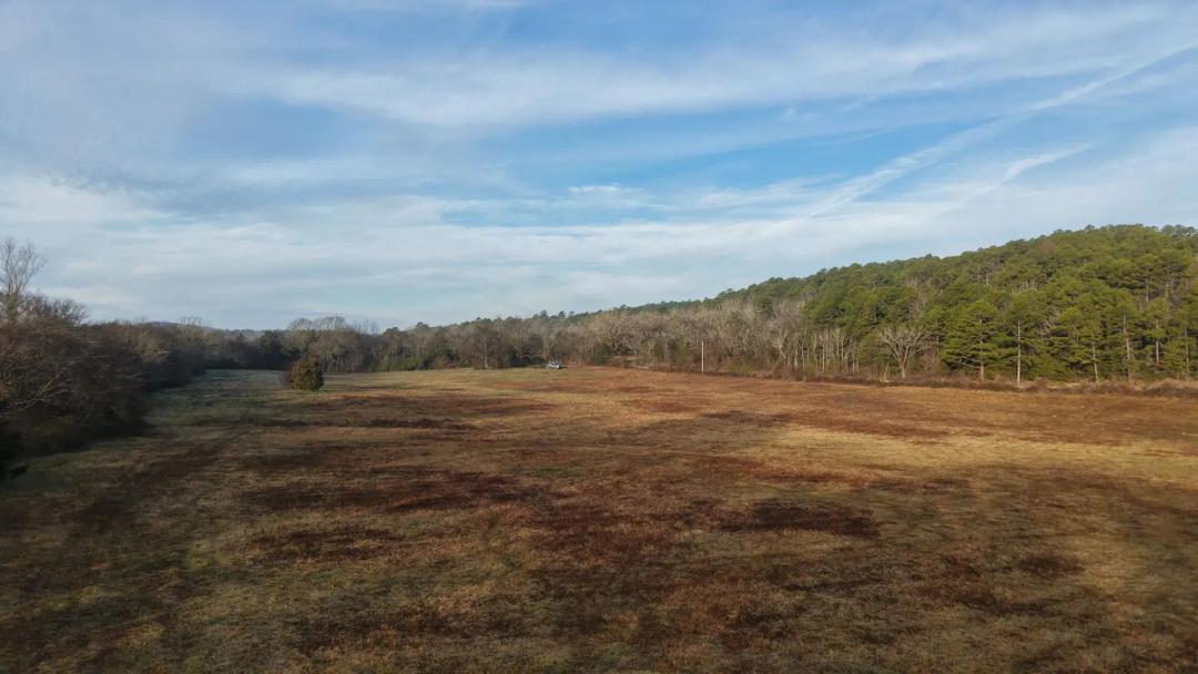 21.02 Acres [Tract 8] in Montgomery County, AR