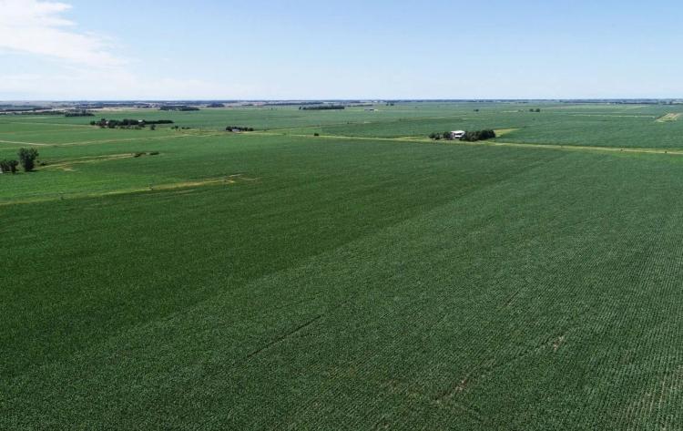 478 Acres, Brown County &#8211; Buffalo Flats Irrigated Farm and Wildlife