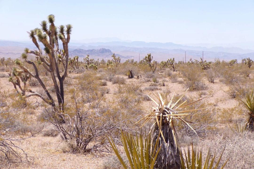 OVER 5 ACRES OF THE PERFECT LOT!