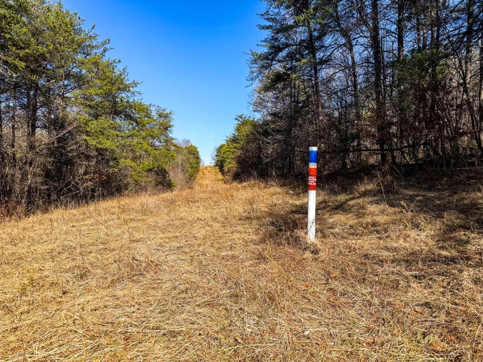 37339383-31