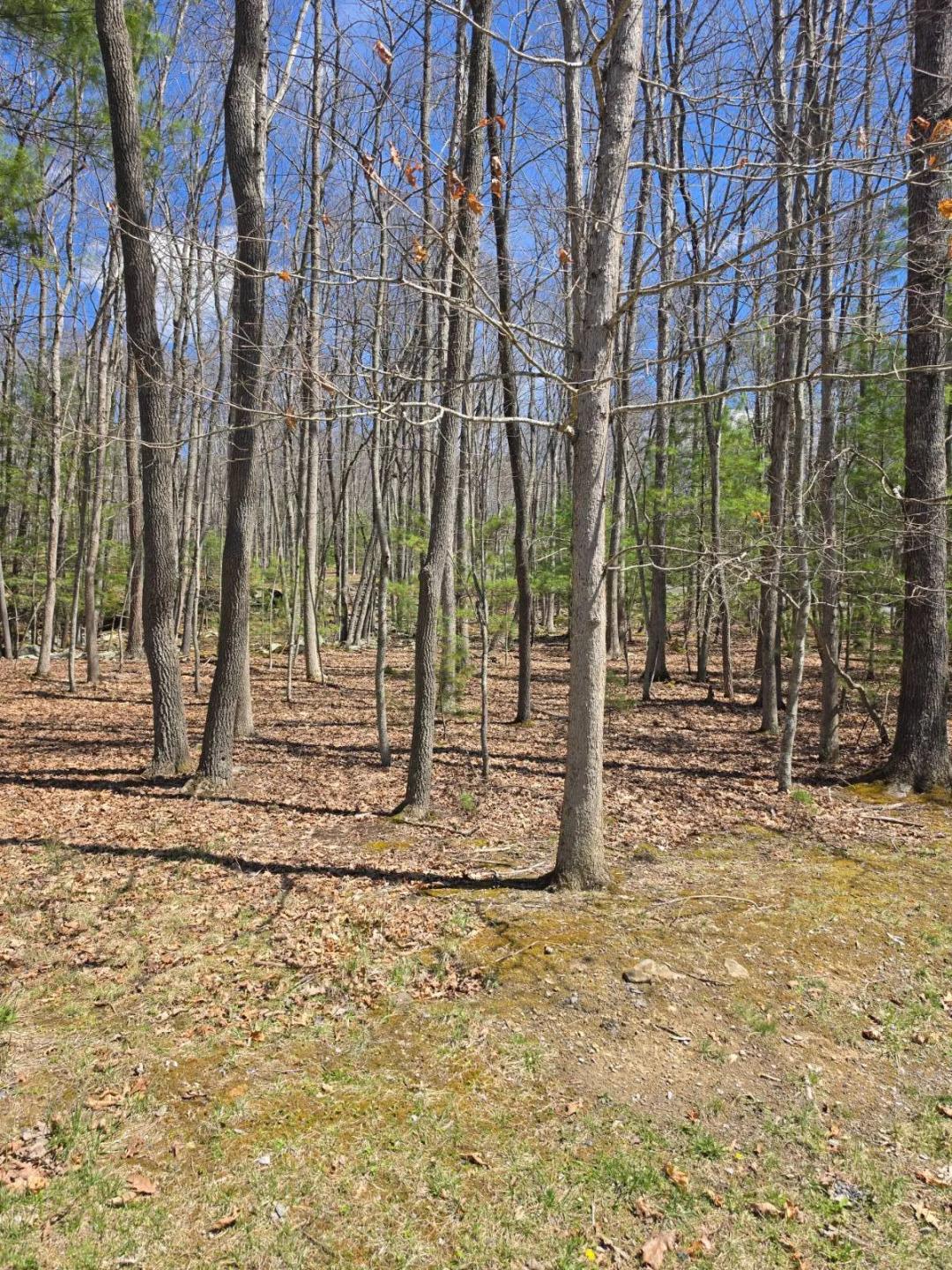0.34 Acres at 104 Winston Place
