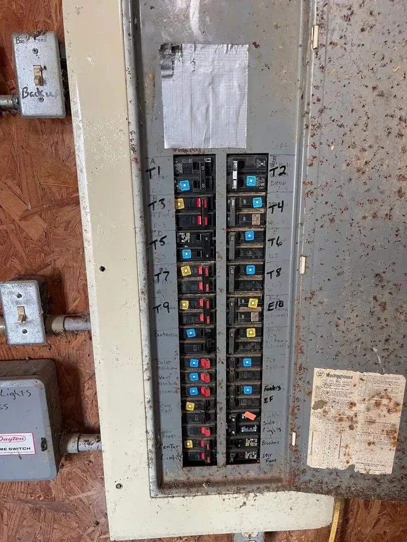 37387567-19