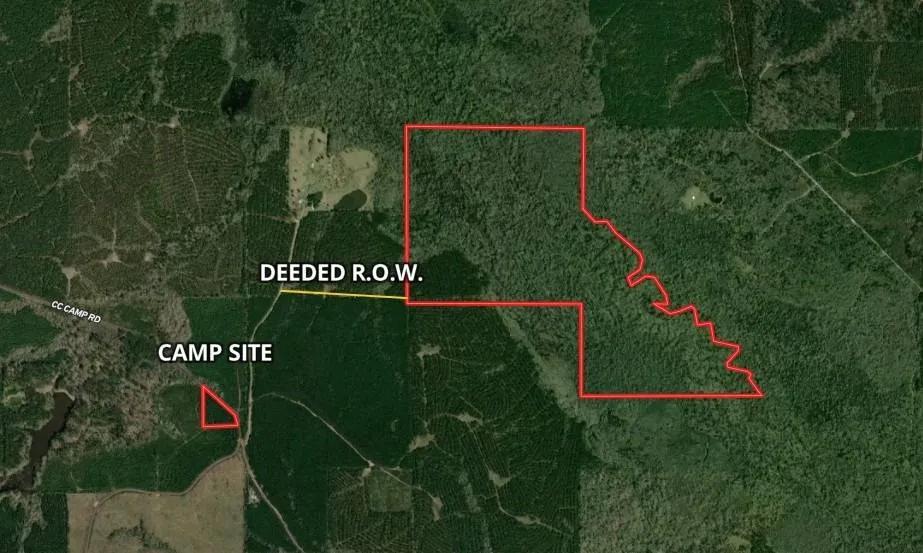 272 ACRES+/- CALDWELL PARISH, LA