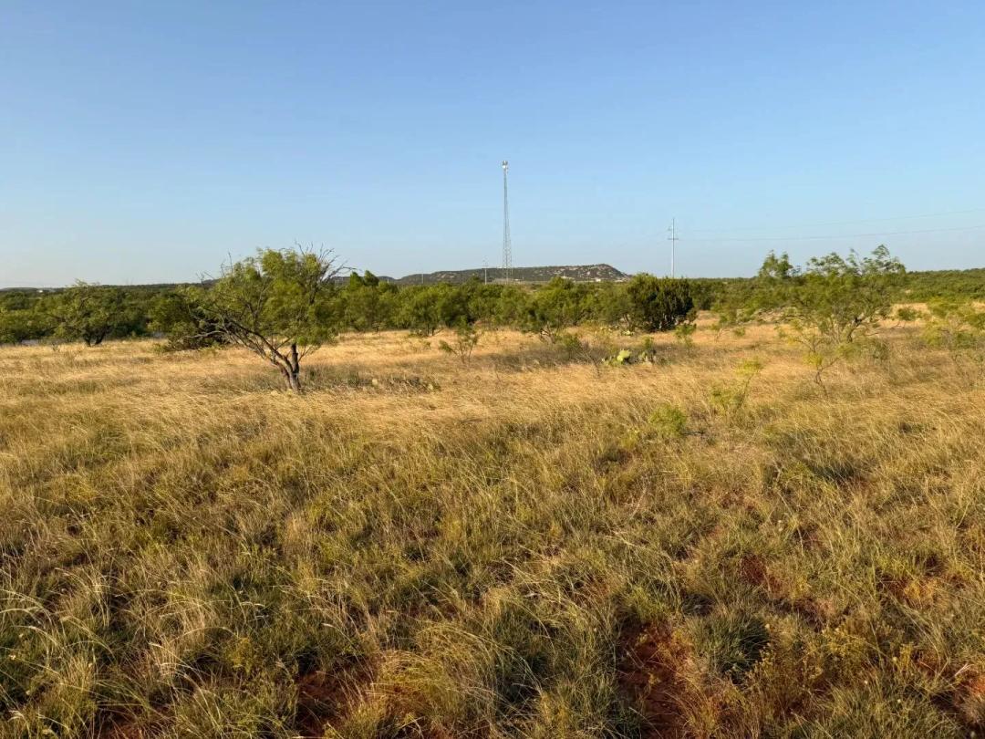New Listing!!! 14+/- Ac (Tr 4), Taylor Co