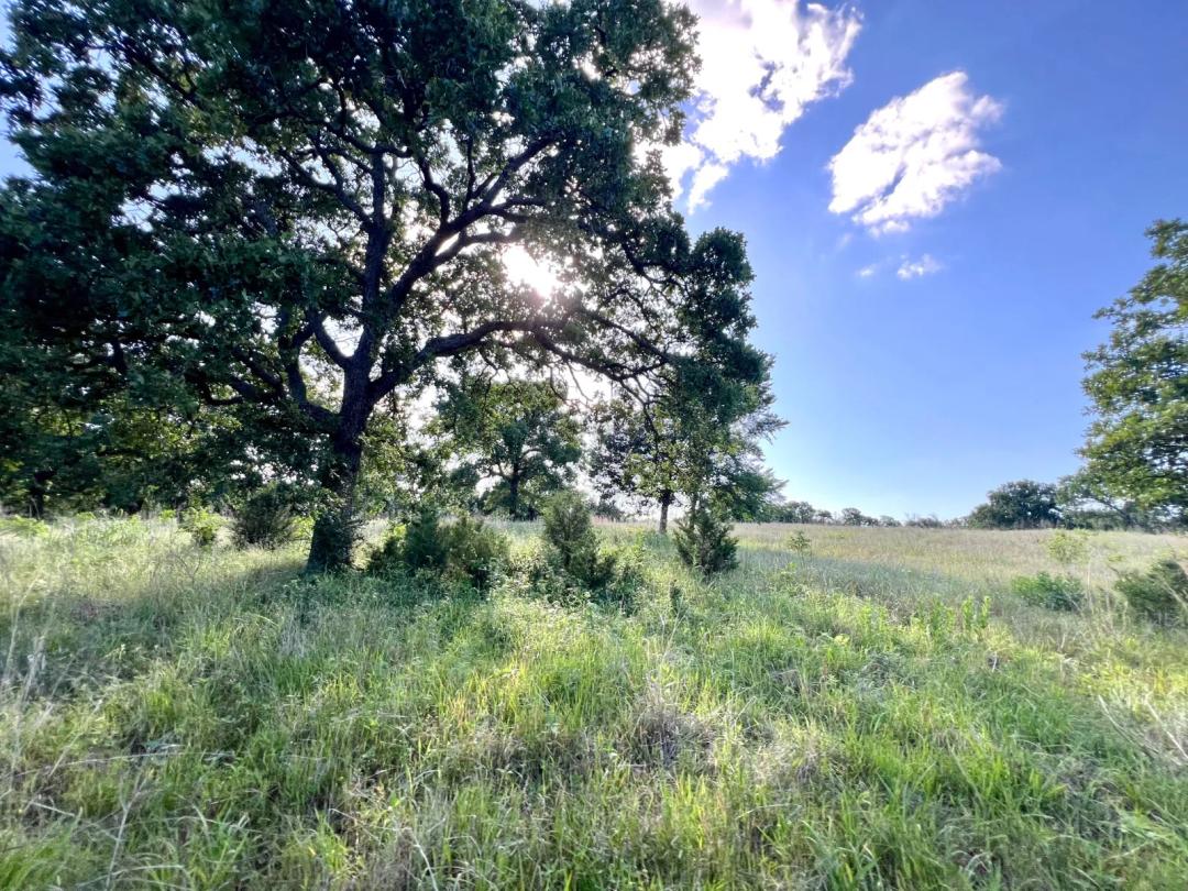 Endless possibilities for your dream property