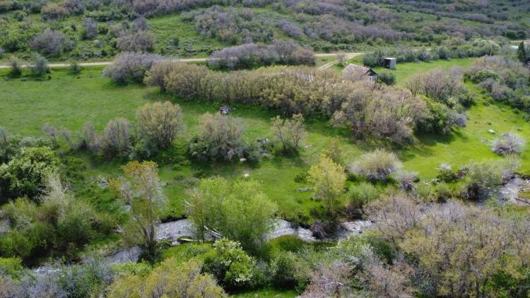 Morapos Creek Land and Cabin