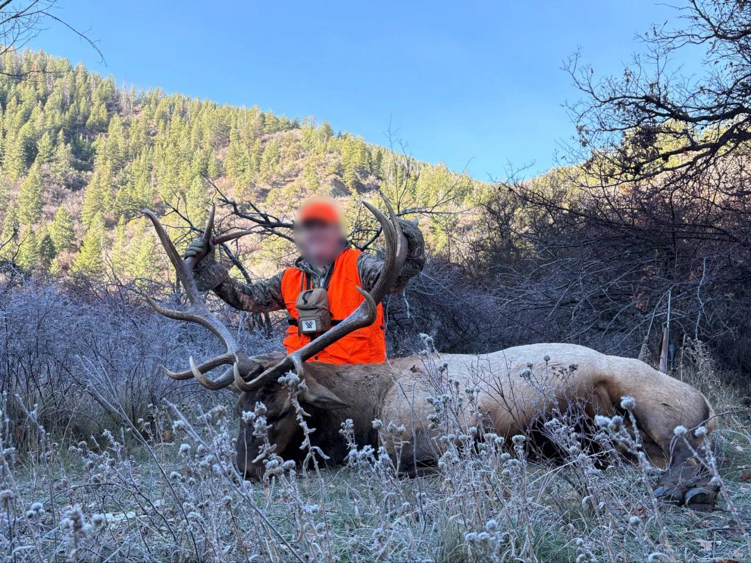 Elk Wallows Ranch