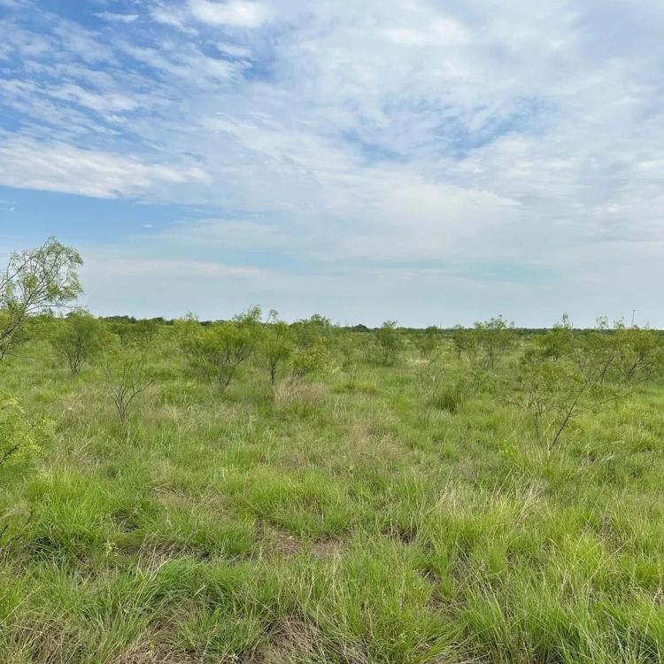 Available!! 10.5 Acres (Tract 10), Callahan County