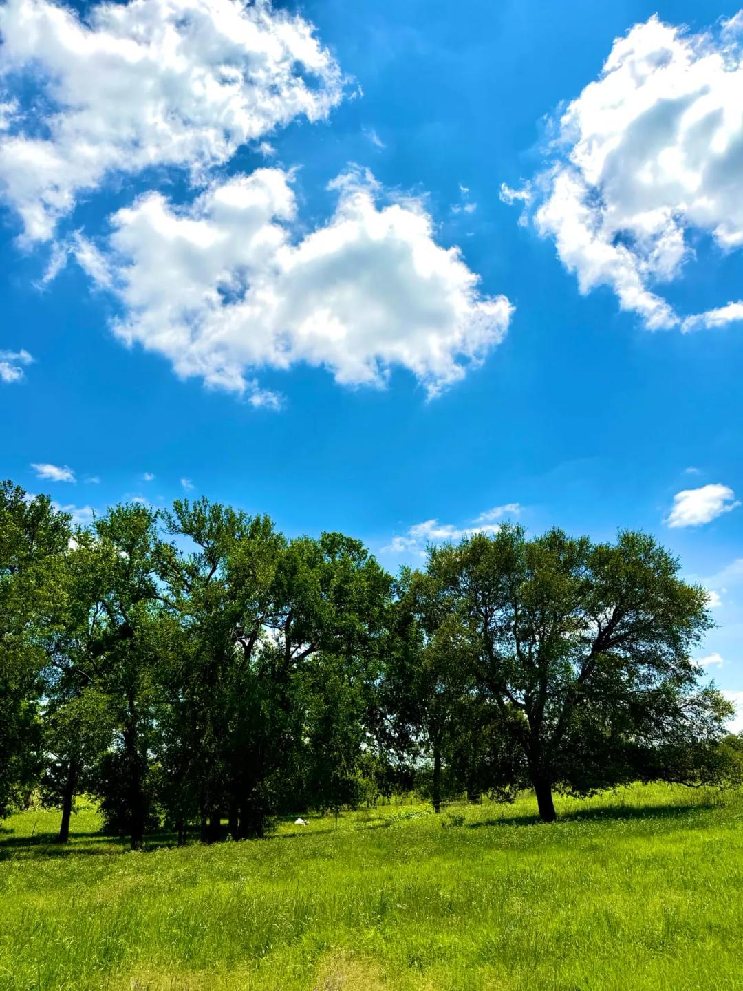 11.4 Acres Not far from San Marcos