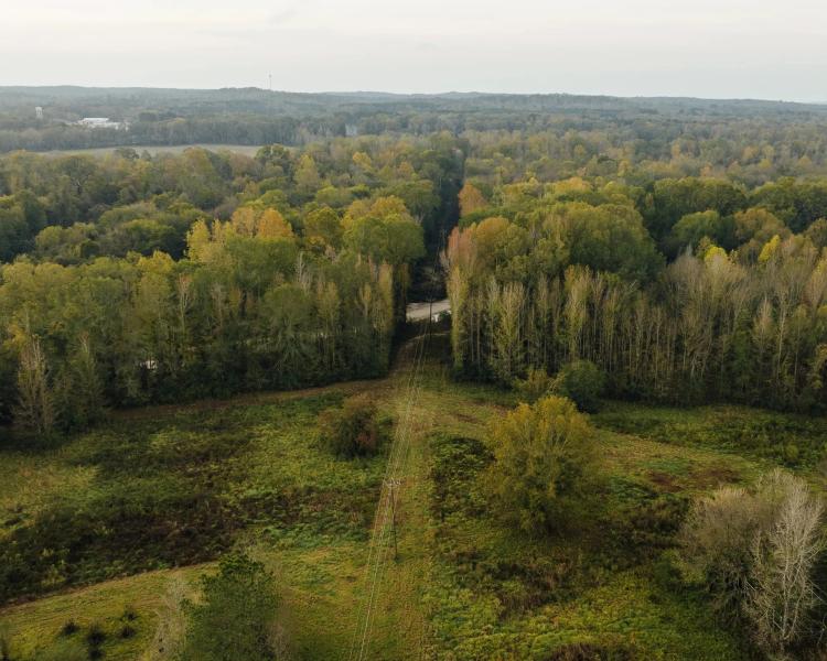 119.25 Acres in Hinds County, MS 