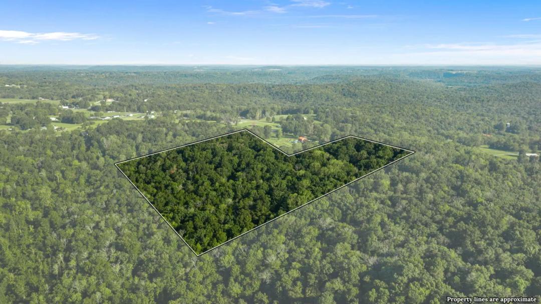 49.71 Acres in Warren County, KY