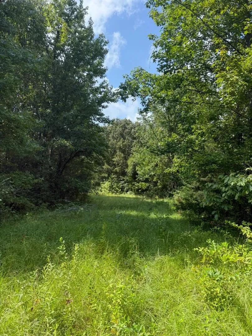 43.2 Acres in Holmes County, MS 