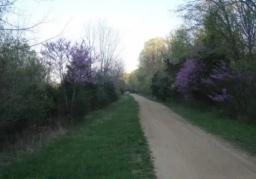 missouri-washington-coun-1