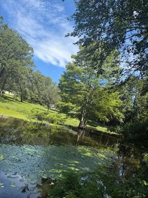 Waterfront Lots Midlake!!