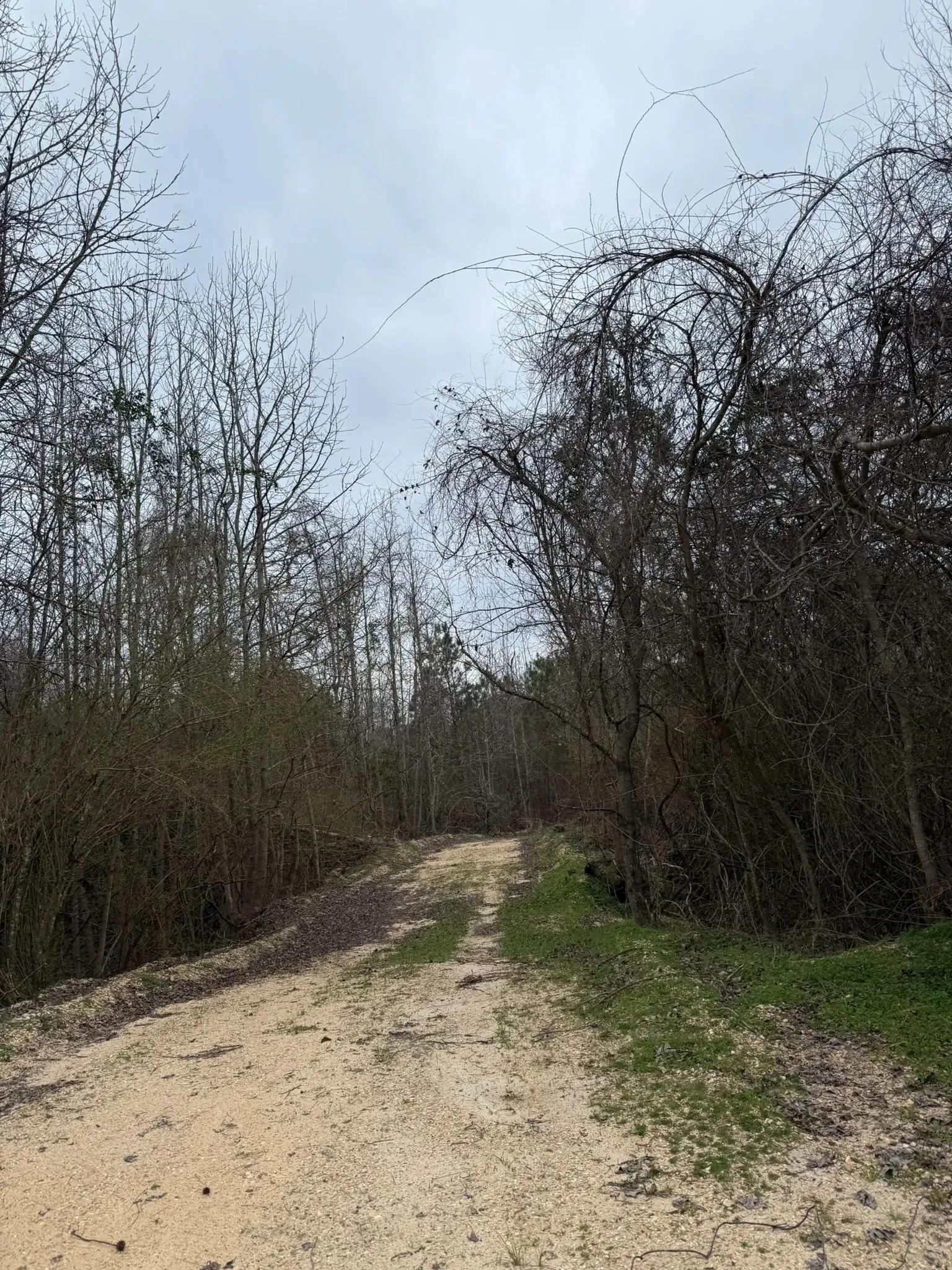 37473299-19