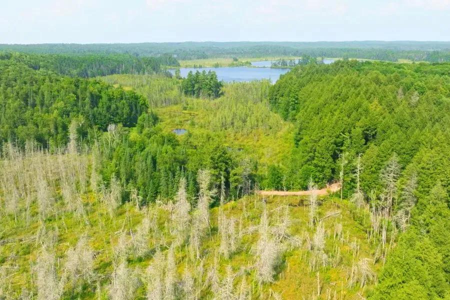 645 Acres of Rare Lakefront Hunting Land in Hayward, WI - Located in National Forest!