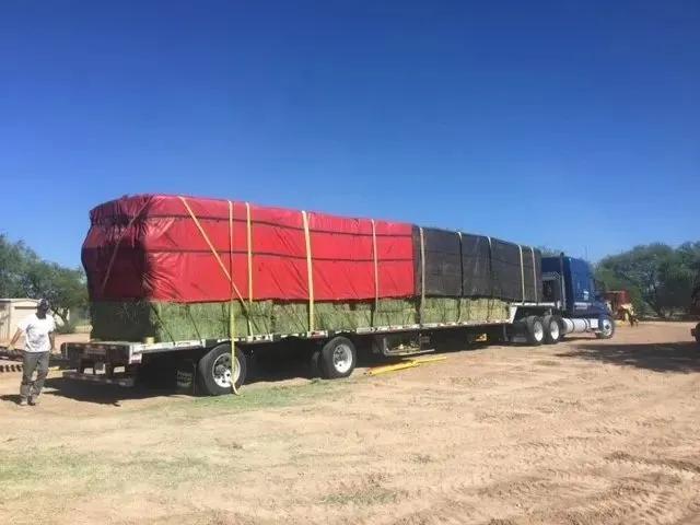 37487057-33