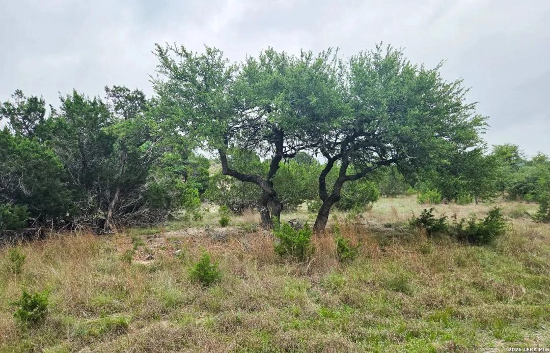 5 Acres of Land for Sale in Blanco, TX