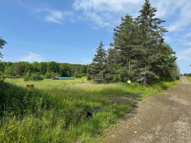 10 acres Shed Cabin with Owner Financing in Alfred NY 749 Green Rd