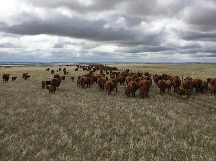 Cheyenne River Ranch