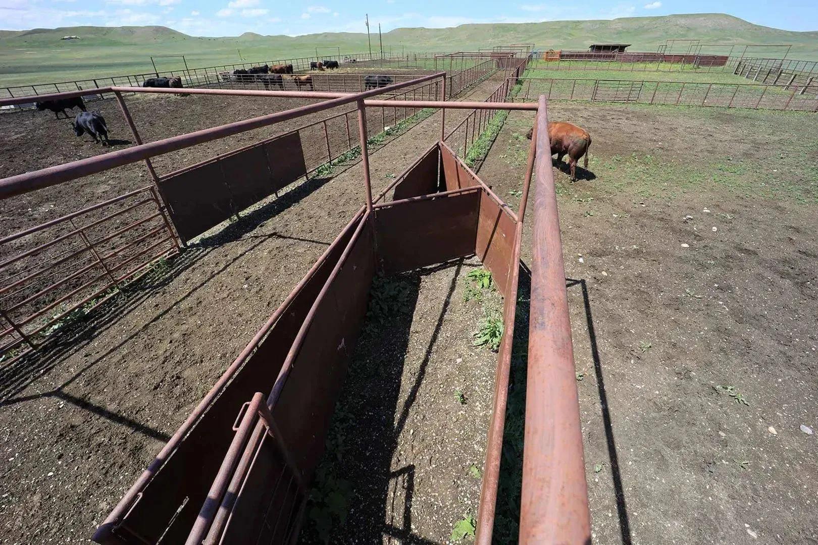 37558081-28