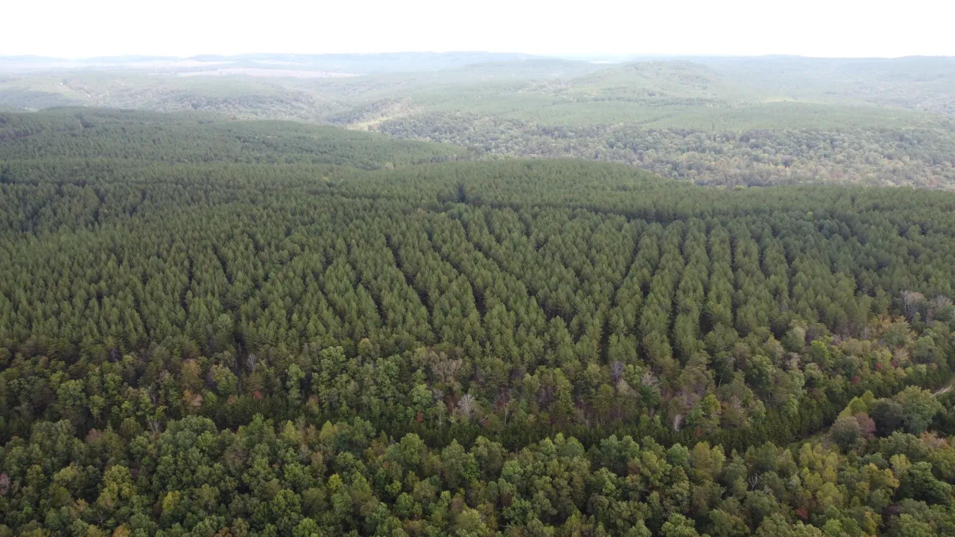 DJI_0098