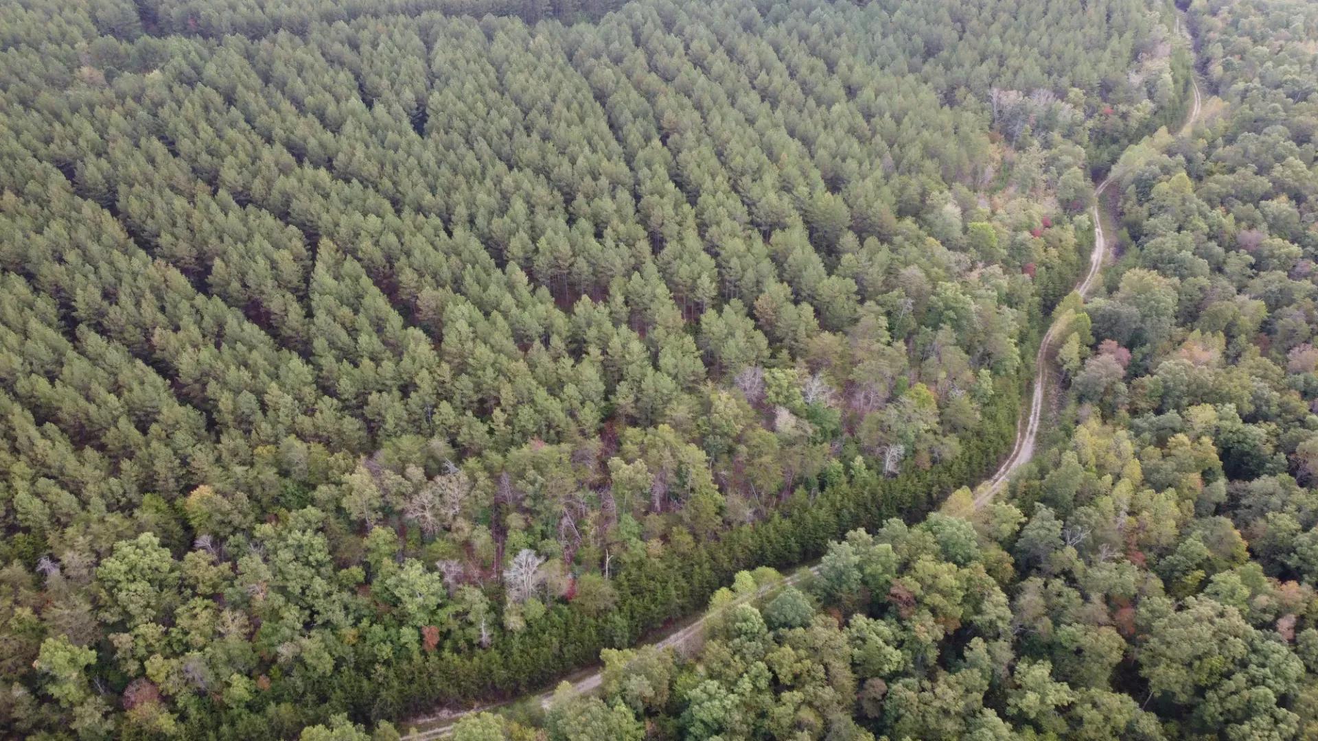 DJI_0103