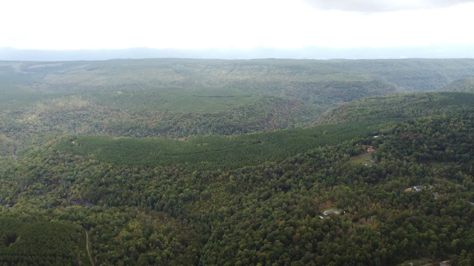DJI_0114