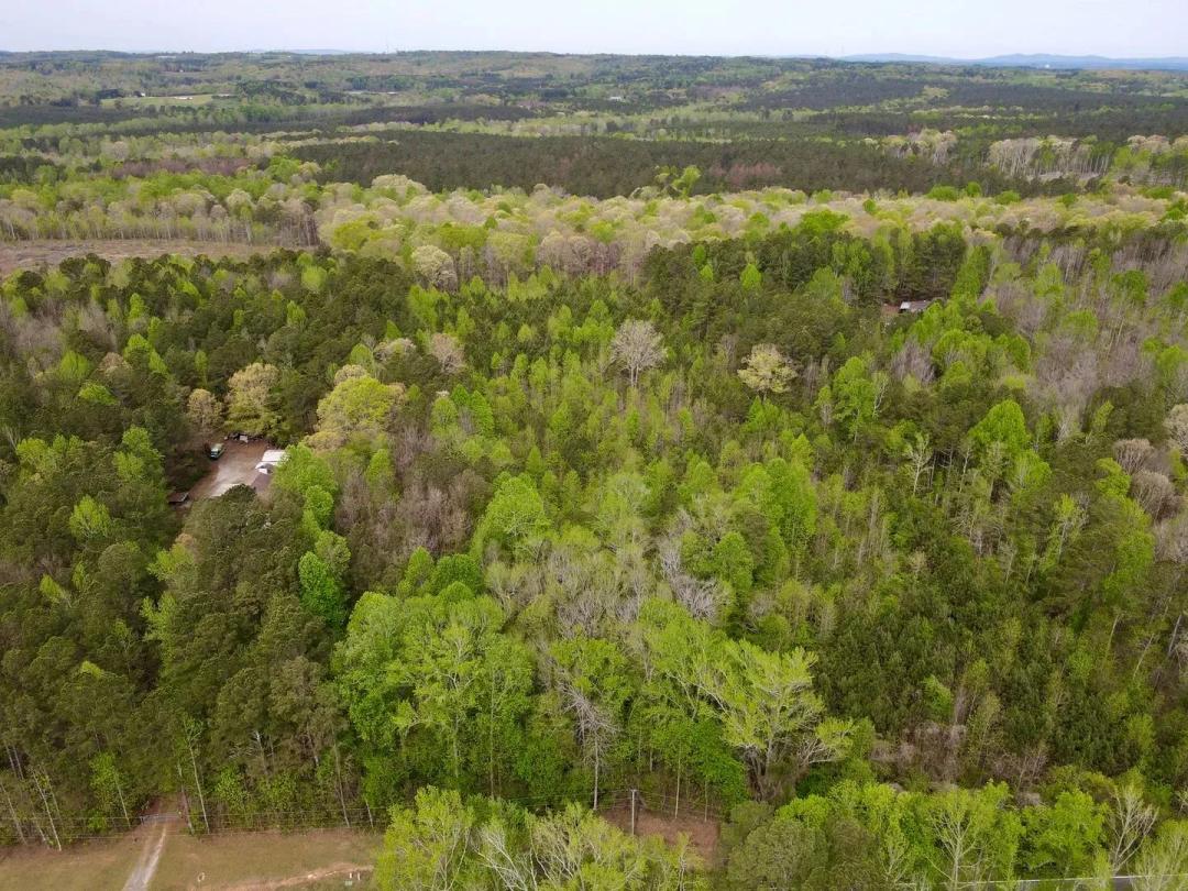 5 +/- Acre Lot in Carroll County