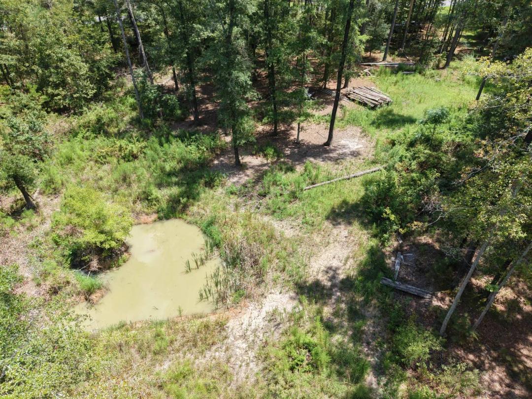 Pineland - Jasper County SC Land for Sale - 12 + Acres