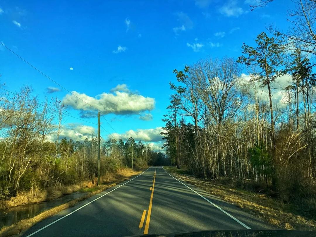 Green Island Road Tract, Calcasieu Parish, 31 Acres ≠