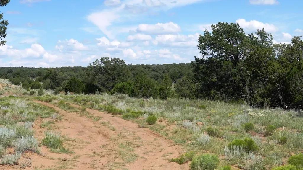 Pine Meadows View Lot - Huge Views of the Valley Below - 2.41 Acres