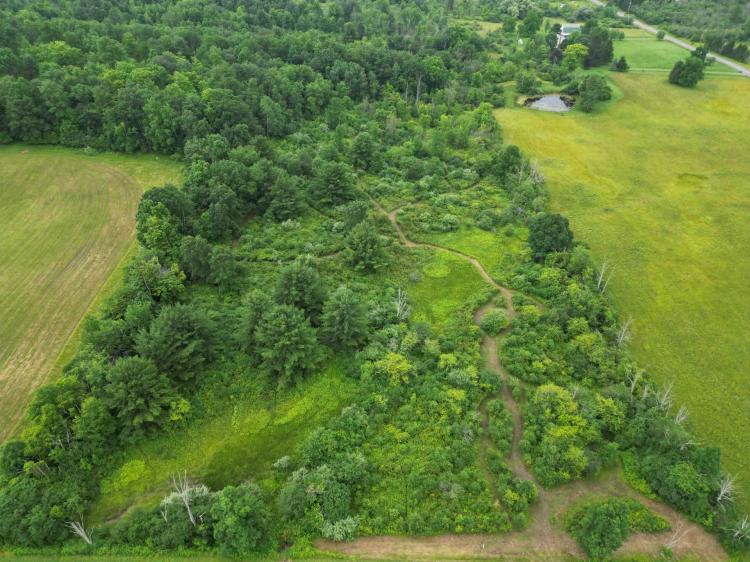 22 acres Hunting Land and Building Lot in Wayne NY County Road 114 in the Finger Lakes Region