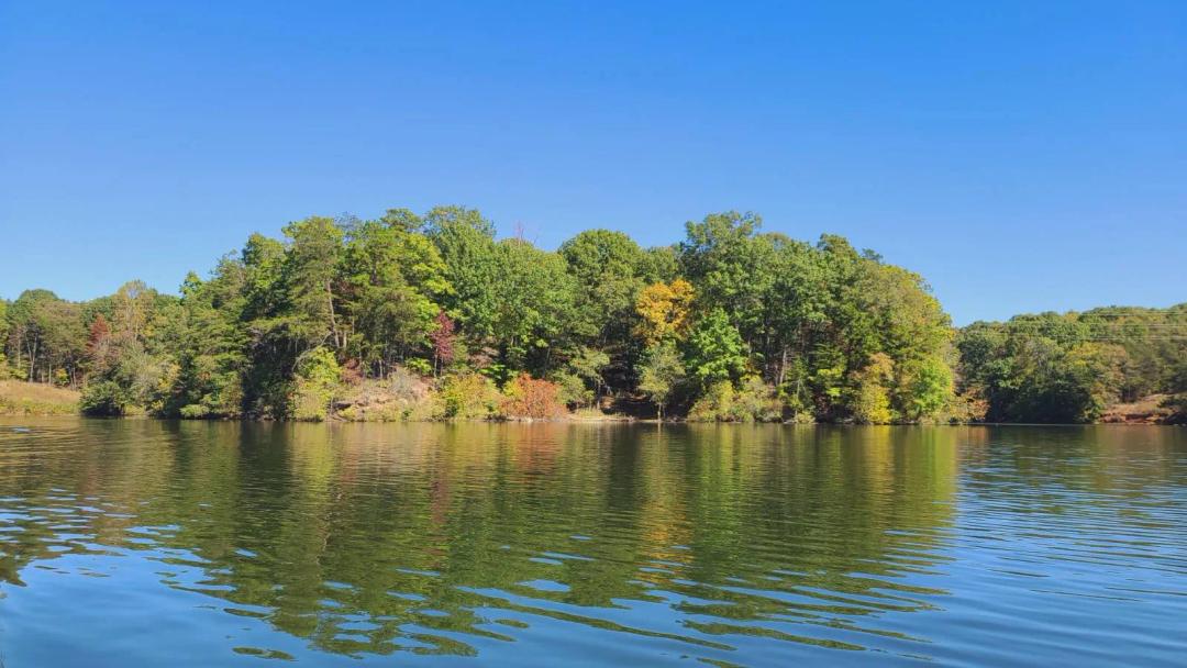 0.98 Acres at 350 Gardner Point Dr