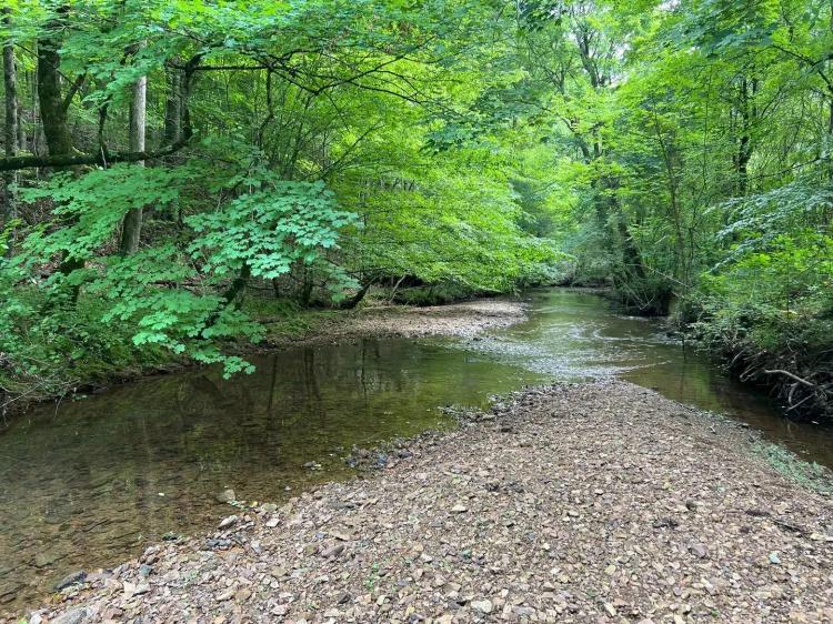First Creek Mini Farm