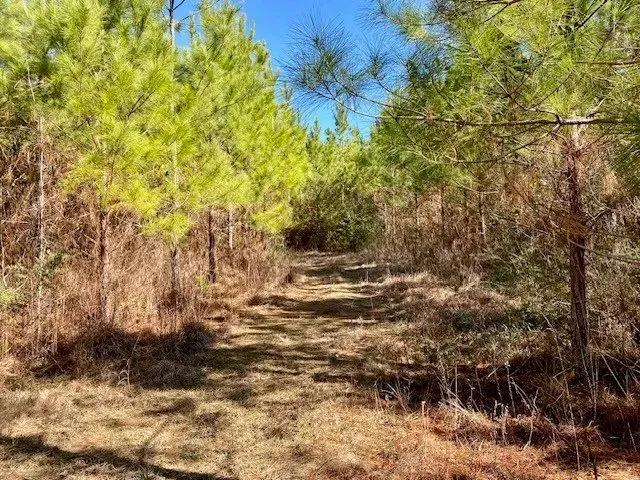 4.6 acres Archie Boyd Road 