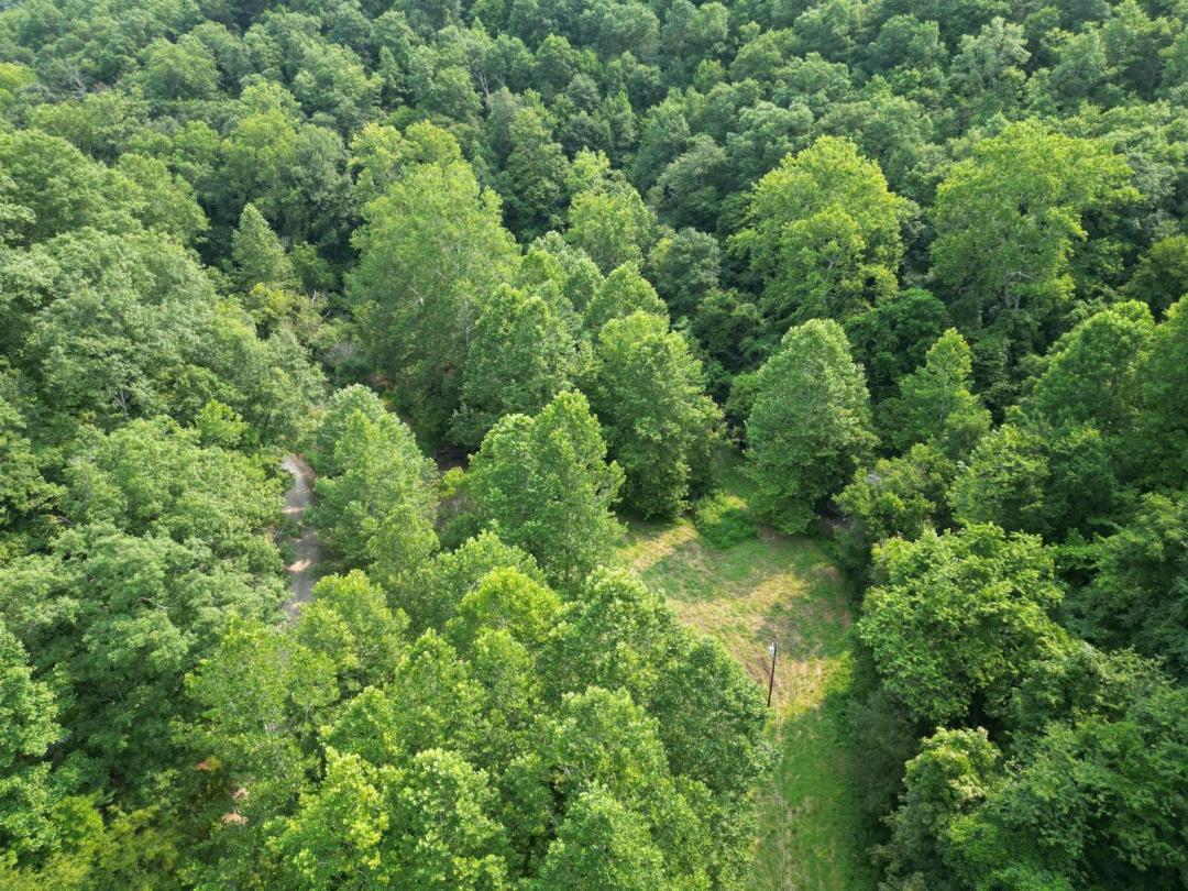 000 Clover Road, Spencer, WV 25276