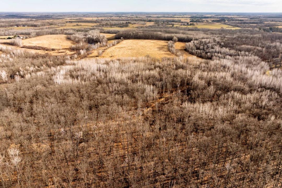 Adventure Starts Here - 39+ Acres for the Avid Hunter!