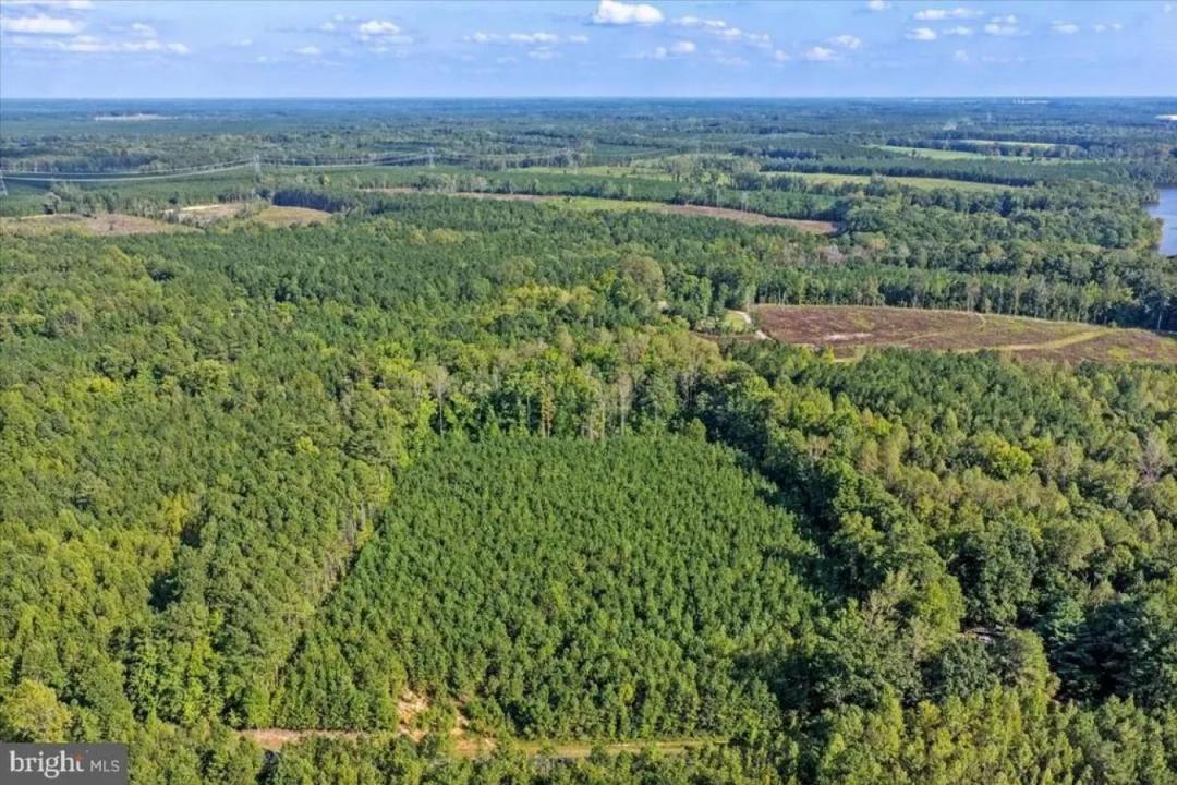 Lot 7 and 8 County Pond Road