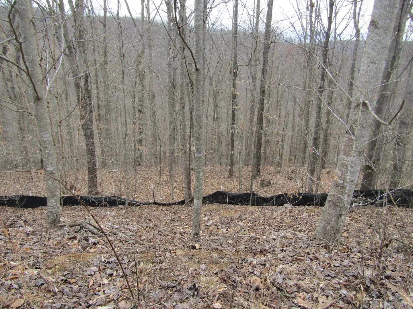 37783267-2