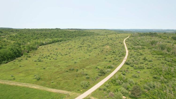 Multi Access Land With Thick Cover Surrounded By Ag