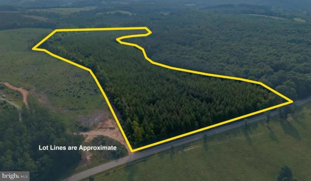 25 Acre Lot (Homestead/Rural Home/Subdivide)