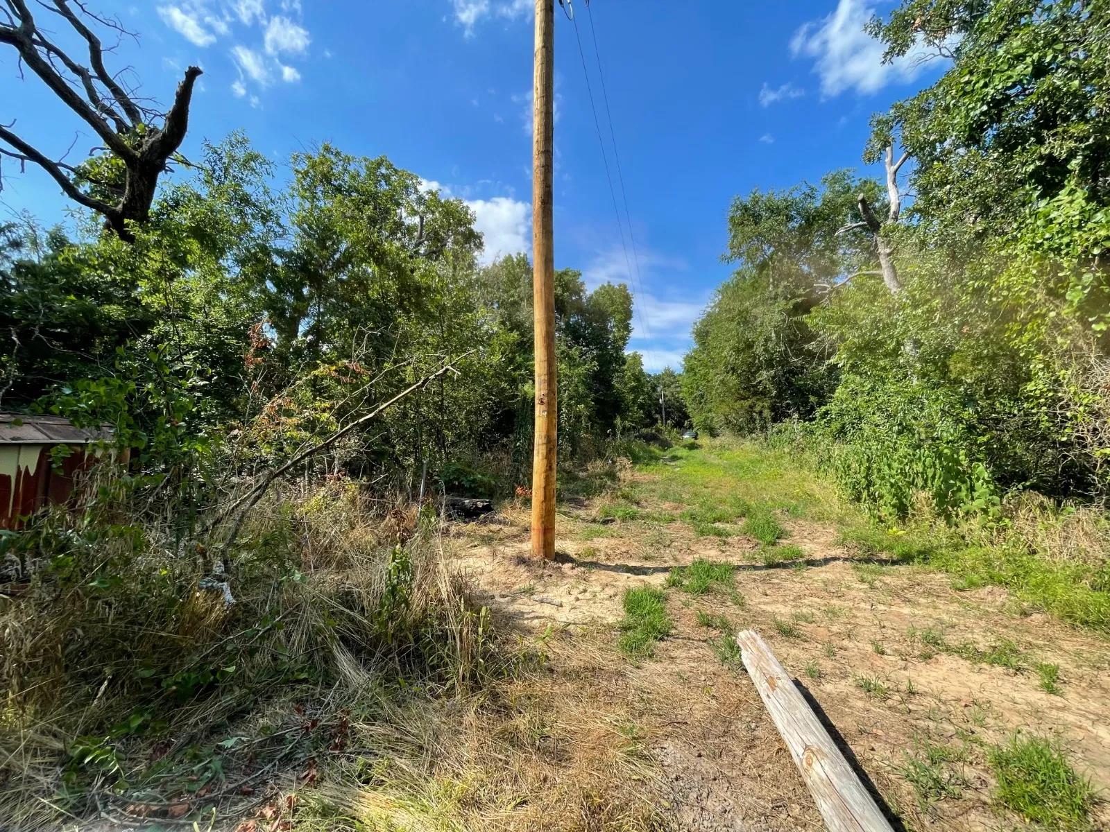 37802981-13