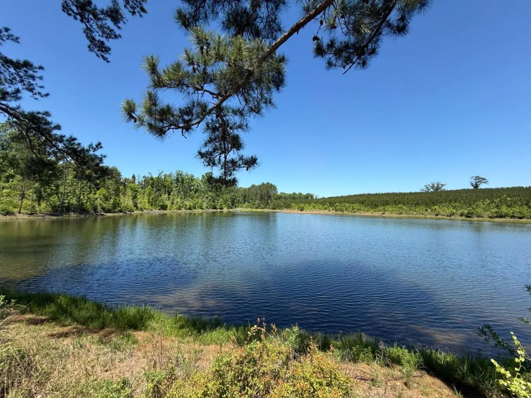 464.00 Acres at 0 county road 222