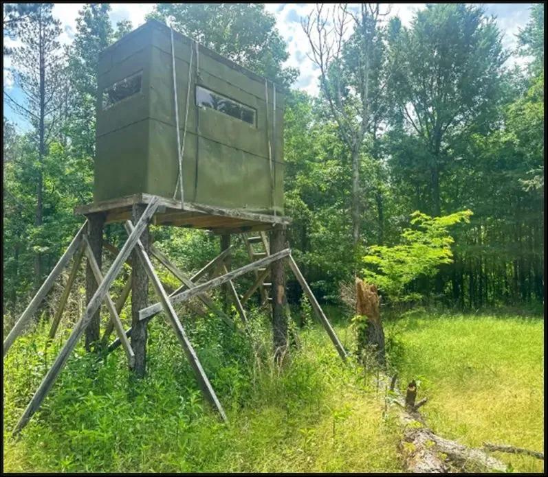 37848884-31