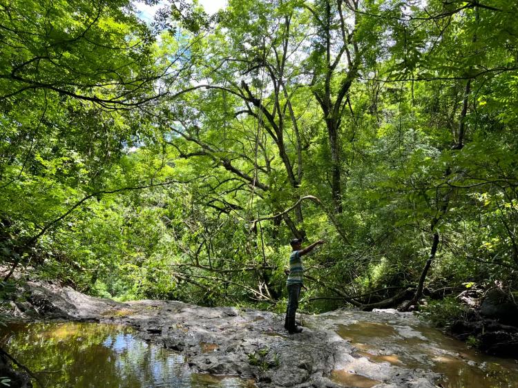 Finca San Gerardo - 41 Hectares With Waterfall