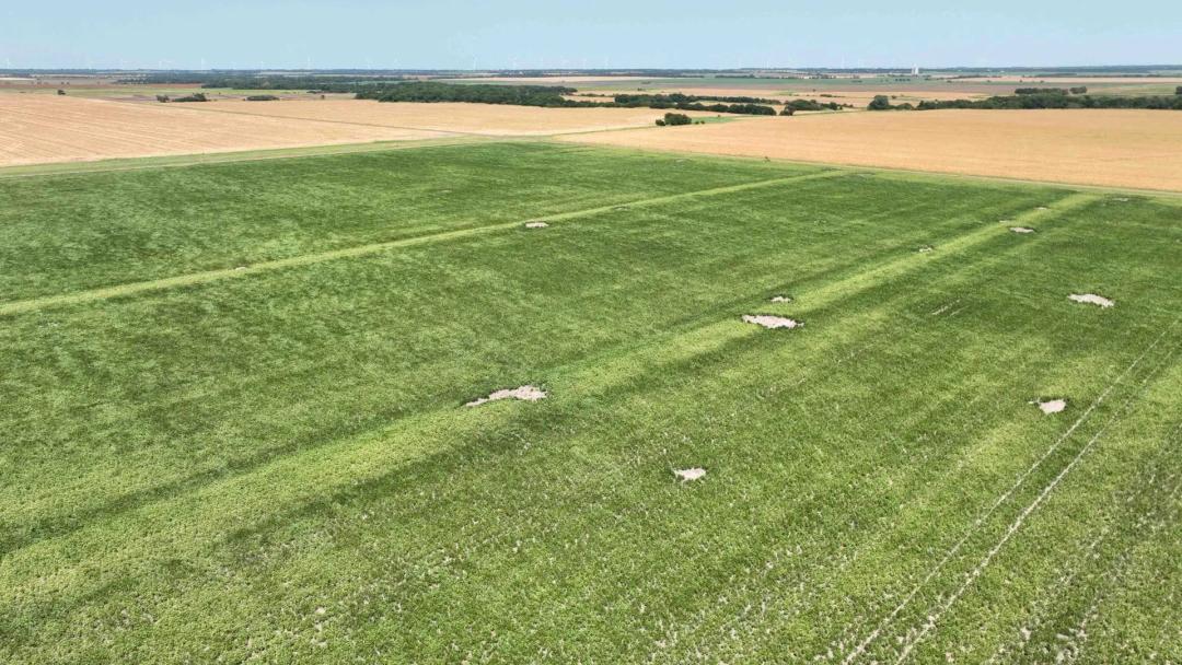 158± Acres Cropland - Tract 1 of 5